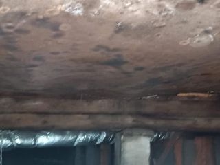 Продам помещение свободного назначения фото 7 Ханты-Мансийск