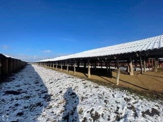 Продаю помещение свободного назначения фото 7 Майкоп