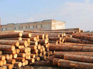 Продается производство фото 2 Волосово