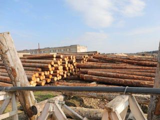 Продается производство фото 14 Волосово