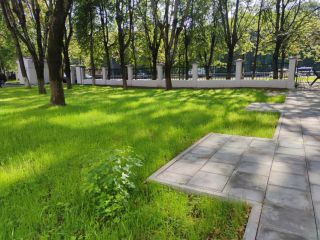 Продается студия фото 32 Люберцы