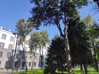 Продам студию фото 30 Люберцы