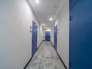 Продается 1 комн. квартира взрослый собственник фото 15 Санкт-Петербург