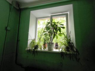 Продается двухкомнатная квартира кирпичный фото 20 Санкт-Петербург