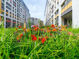 Продаю студию фото 13 Санкт-Петербург