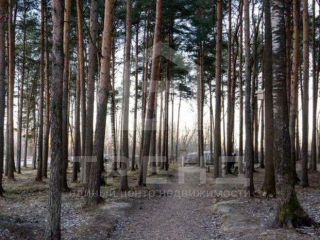 Продается студия огороженная территория с мебелью фото 37 Всеволожск