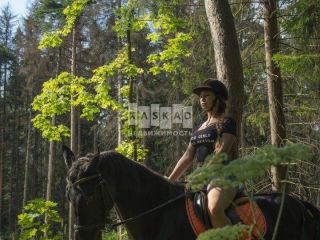 Продаю кирпичный коттедж красивая с коммуникациями фото 23 Мытищи