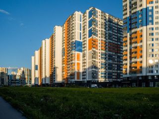 Продаю студию фото 25 Санкт-Петербург