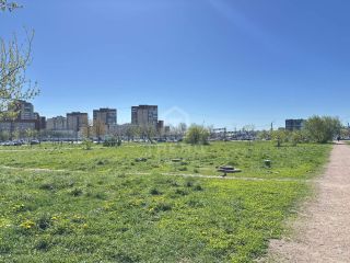 Продаю трехкомнатную квартиру по ипотеке фото 22 Санкт-Петербург