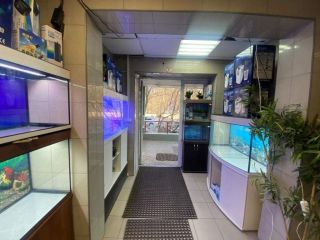Продаю помещение под офис проходное место отдельный вход фото 3 Москва