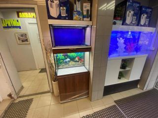 Продаю помещение под офис проходное место отдельный вход фото 4 Москва