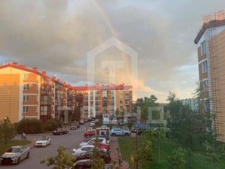 Продаю 1 комнатную квартиру фото 14 Санкт-Петербург