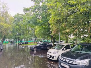 Продается 3 комн. квартира фото 11 Москва