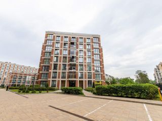 Продаю студию взрослый собственник фото 13 Санкт-Петербург