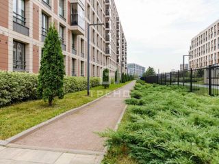 Продаю студию взрослый собственник фото 14 Санкт-Петербург