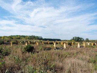 Продается нежилое помещение фото Липецк