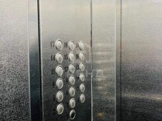 Продается студия фото 15 Всеволожск