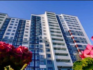 Продается студия фото 23 Санкт-Петербург