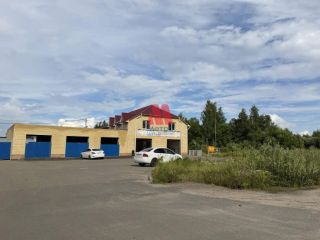 Сдаю помещение свободного назначения рядом асфальт фото 6 Ярославль