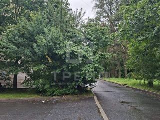 Продам 2 комнатную квартиру фото 39 Санкт-Петербург