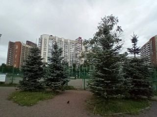 Продам 1 комнатную квартиру фото 20 Санкт-Петербург