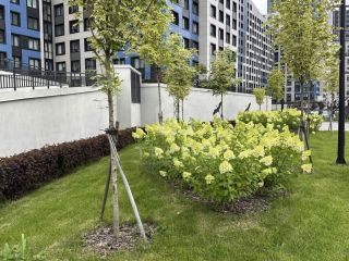 Продается 1 комн. квартира фото 21 Санкт-Петербург