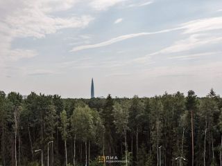 Продам 1 комнатную квартиру в отличном состоянии взрослый собственник фото 19 Санкт-Петербург
