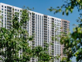 Продаю нежилое помещение с плодоносящим садом свободного назначения фото Видное