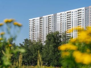 Продаю нежилое помещение с плодоносящим садом свободного назначения фото 6 Видное