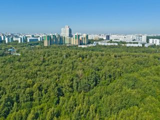 Продаю нежилое помещение с плодоносящим садом свободного назначения фото 26 Видное