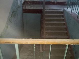 Продается помещение свободного назначения фото 8 Печора
