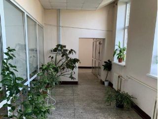 Продаю помещение свободного назначения фото 31 Биробиджан