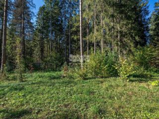 Продам кирпичный дом свободного назначения фото 30 Солнечногорск