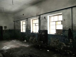 Продаю нежилое помещение свободного назначения с коммуникациями фото 29 Санкт-Петербург