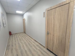 Продаю студию фото 17 Люберцы