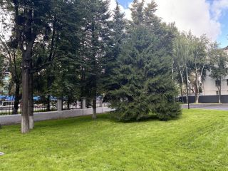 Продам студию фото 24 Люберцы