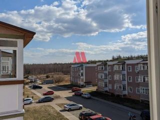 Сдаю однокомнатную квартиру на длительный срок фото 14 Ярославль