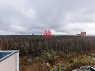 Продам трехкомнатную квартиру рядом река с газовым отоплением фото 25 Ярославль