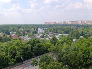 Продаю двухкомнатную квартиру взрослый собственник фото 4 Красногорск