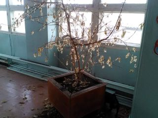 Продается помещение свободного назначения фото 9 Канск