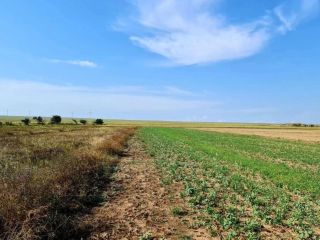 Продам земельный участок документы на руках фото 8 Симферополь