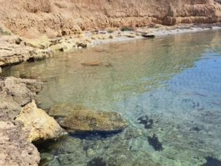 Продается зем участок своя скважина c артезианской водой фото 2 Симферополь