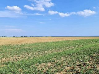 Продам участок земли фото 2 Симферополь