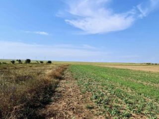 Продам участок земли фото 4 Симферополь