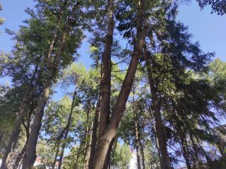 Продам студию фото 23 Люберцы