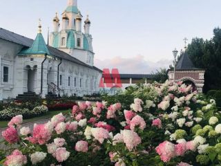 Продается деревянный дом своя скважина подключена канализация фото 29 Ярославль
