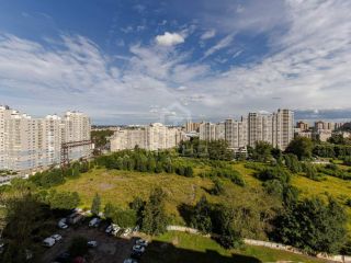 Продаю однушку огороженная территория с коммуникациями фото 15 Санкт-Петербург