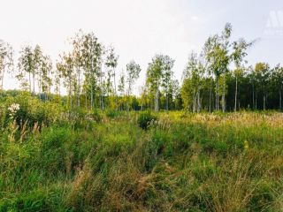 Продается земельный участок подведено электричество имеется охрана фото 5 Ярославль