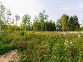 Продается земельный участок подведено электричество имеется охрана фото 20 Ярославль