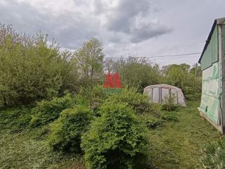 Продается деревянный дом есть теплица фото 26 Нерехта